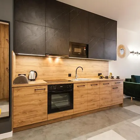 Apartment Vintage Rakowicka Krakau