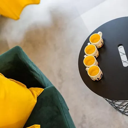 Vintage Rakowicka 公寓